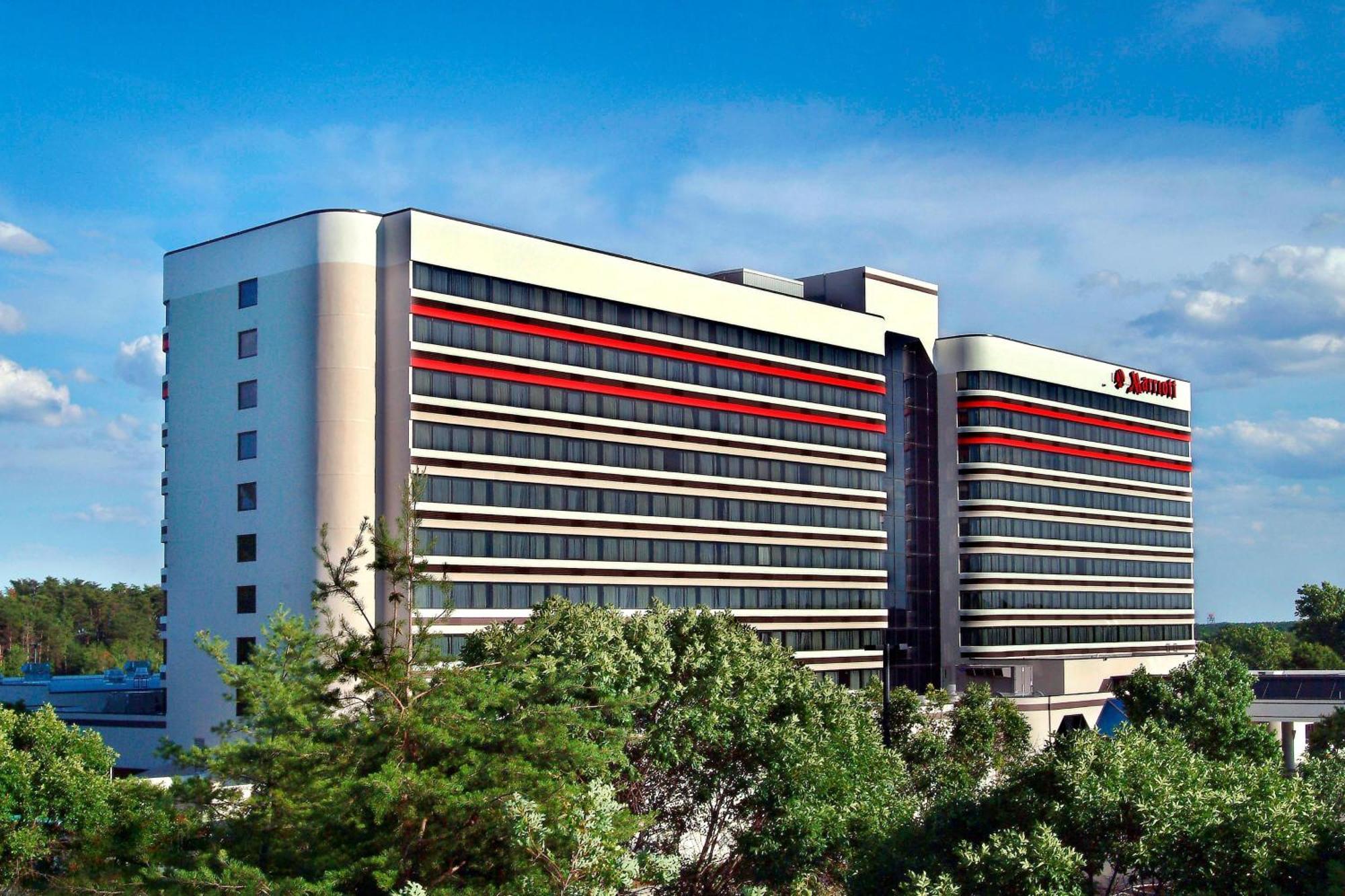 Отель BWI Airport Marriott Линтикам Экстерьер фото